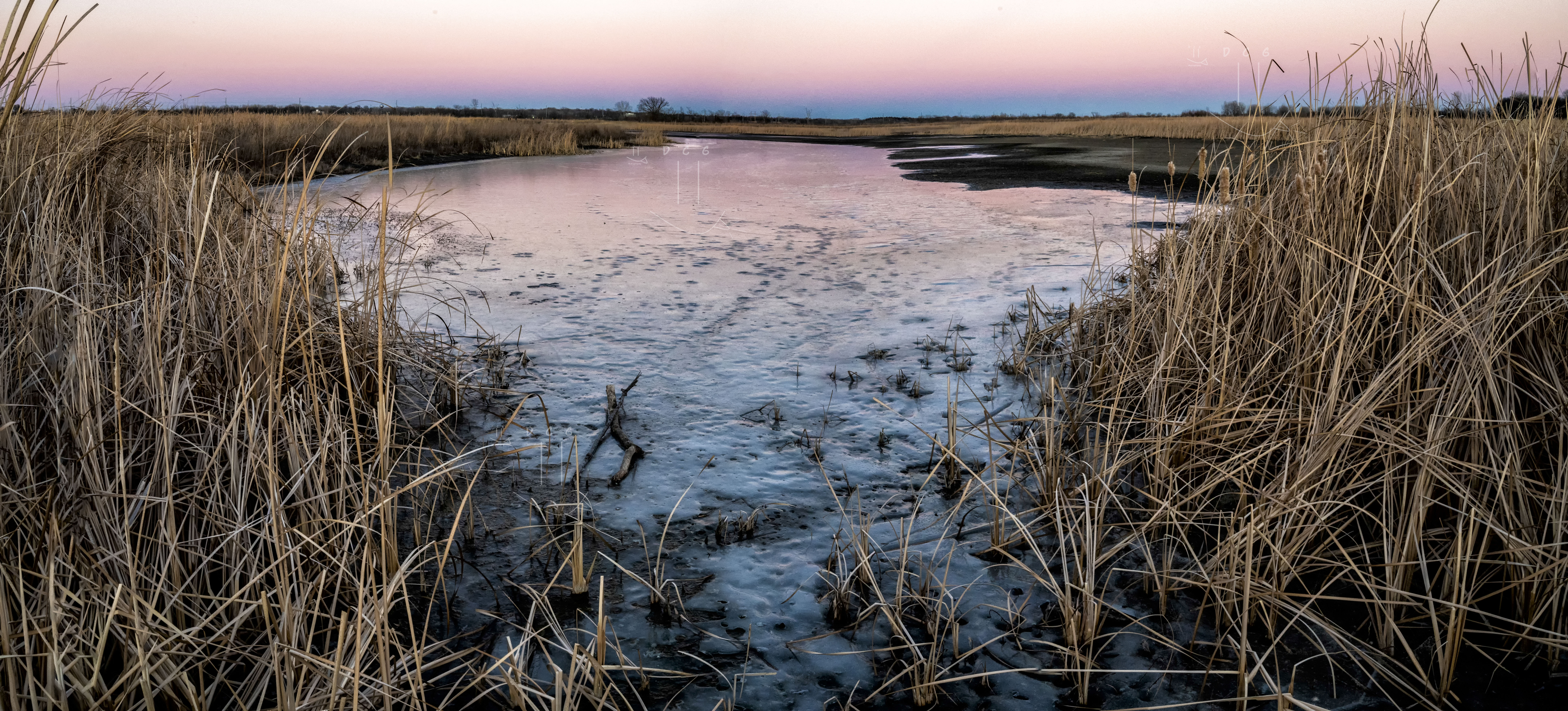 Shadow of sunset colors parted tallgrass frozen stream